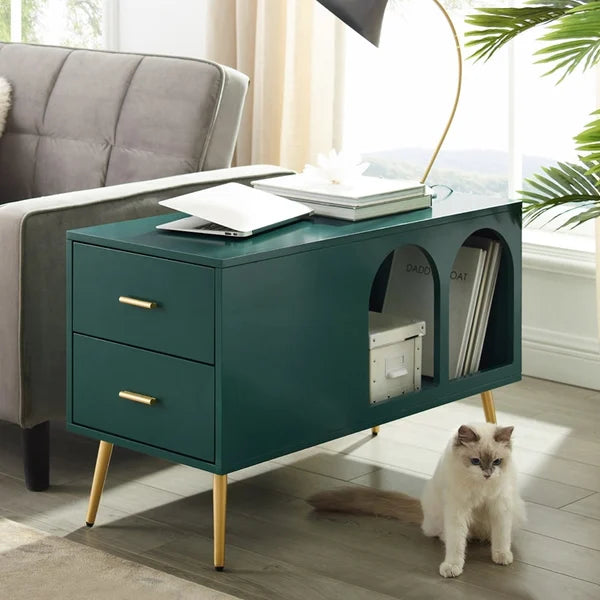 Narre green end table with storage