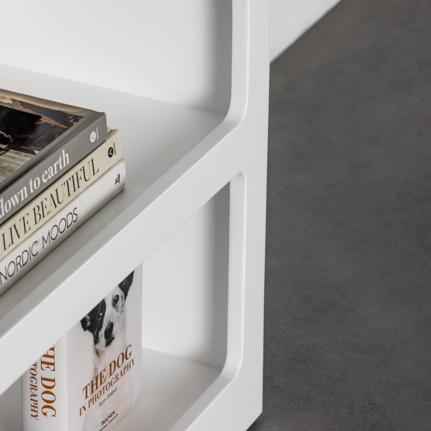 Lancelot premium rack