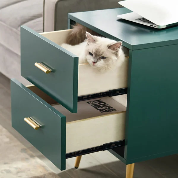 Narre green end table with storage